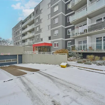 Rose By Renters * Breslavia