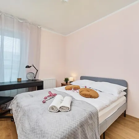 Rose By Renters * Breslavia