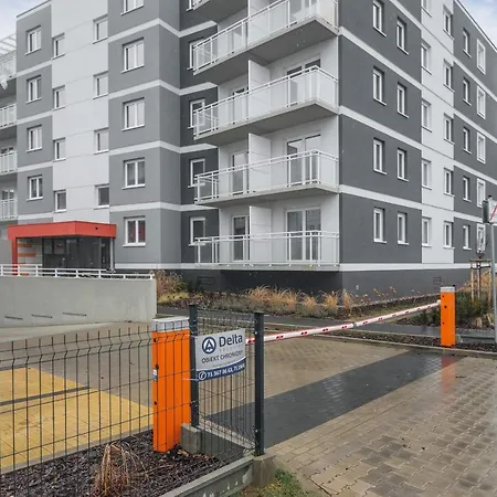 Rose By Renters * Breslavia