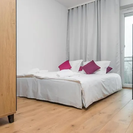 Rose By Renters * Breslavia