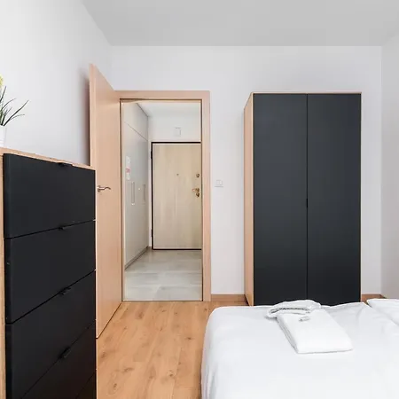 Rose By Renters Breslavia