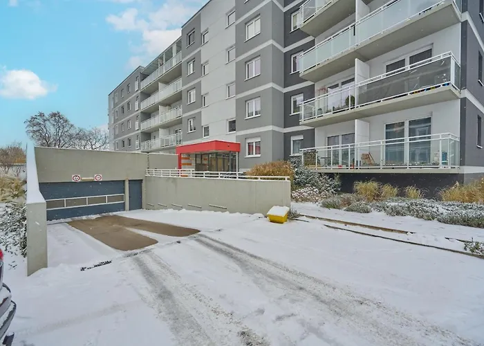 Rose By Renters * 弗罗茨瓦夫